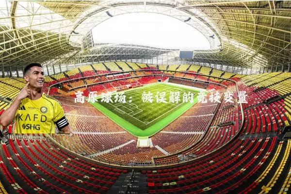 高原球场：被误解的竞技变量